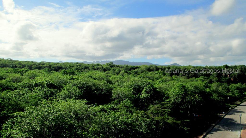 Ariana'S Galapagos Hostal Puerto Ayora  Dış mekan fotoğraf